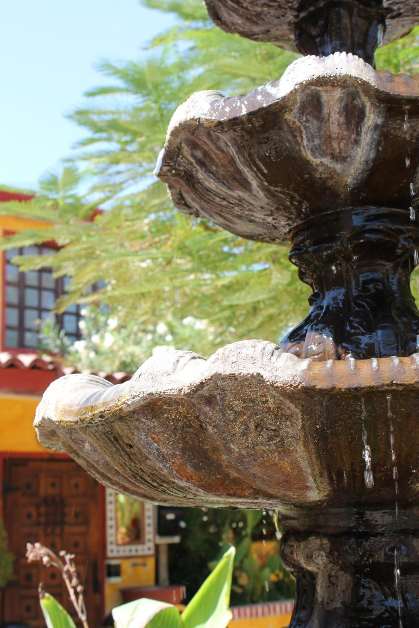 Hacienda Los Algodones Los Algodones  Εξωτερικό φωτογραφία